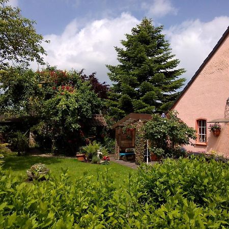 Апартаменты Haus Sielblick Шиллиг Экстерьер фото